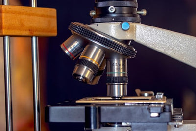 Microscope Slide Mounting for Beginners: 4 Ways