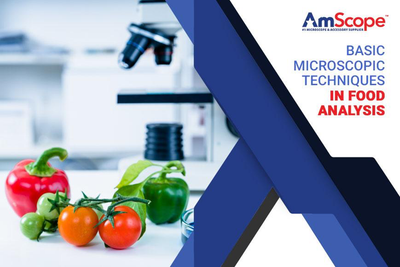 Basic Microscopic Techniques in Food Analysis