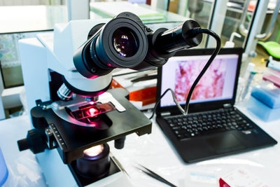 5 Reasons Why Digital Microscopes Are Great for Upper-Level Students