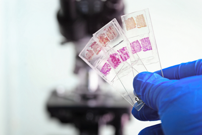 Using Prepared Microscope Slides: Benefits and More