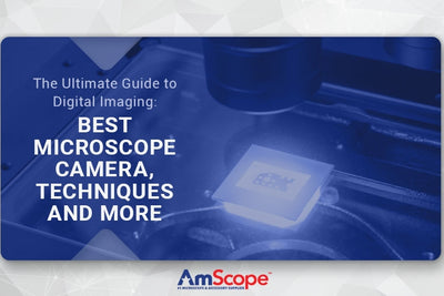 The Ultimate Guide to Digital Imaging: Best Microscope Camera, Techniques and More