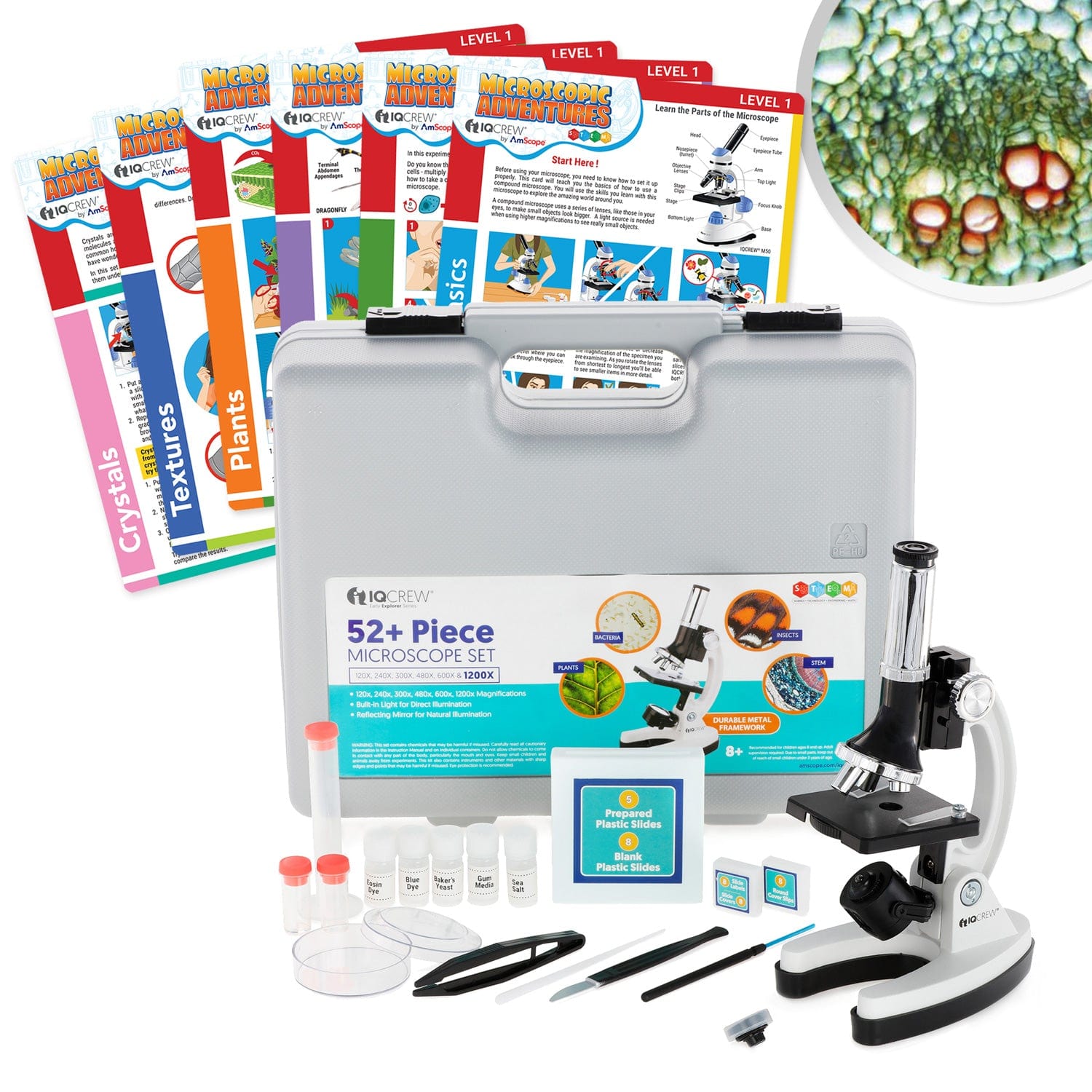 Amscope M30-ABS-KT2-W Monocular Compound Microscope for Kids – Up