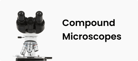 Compound
Microscopes