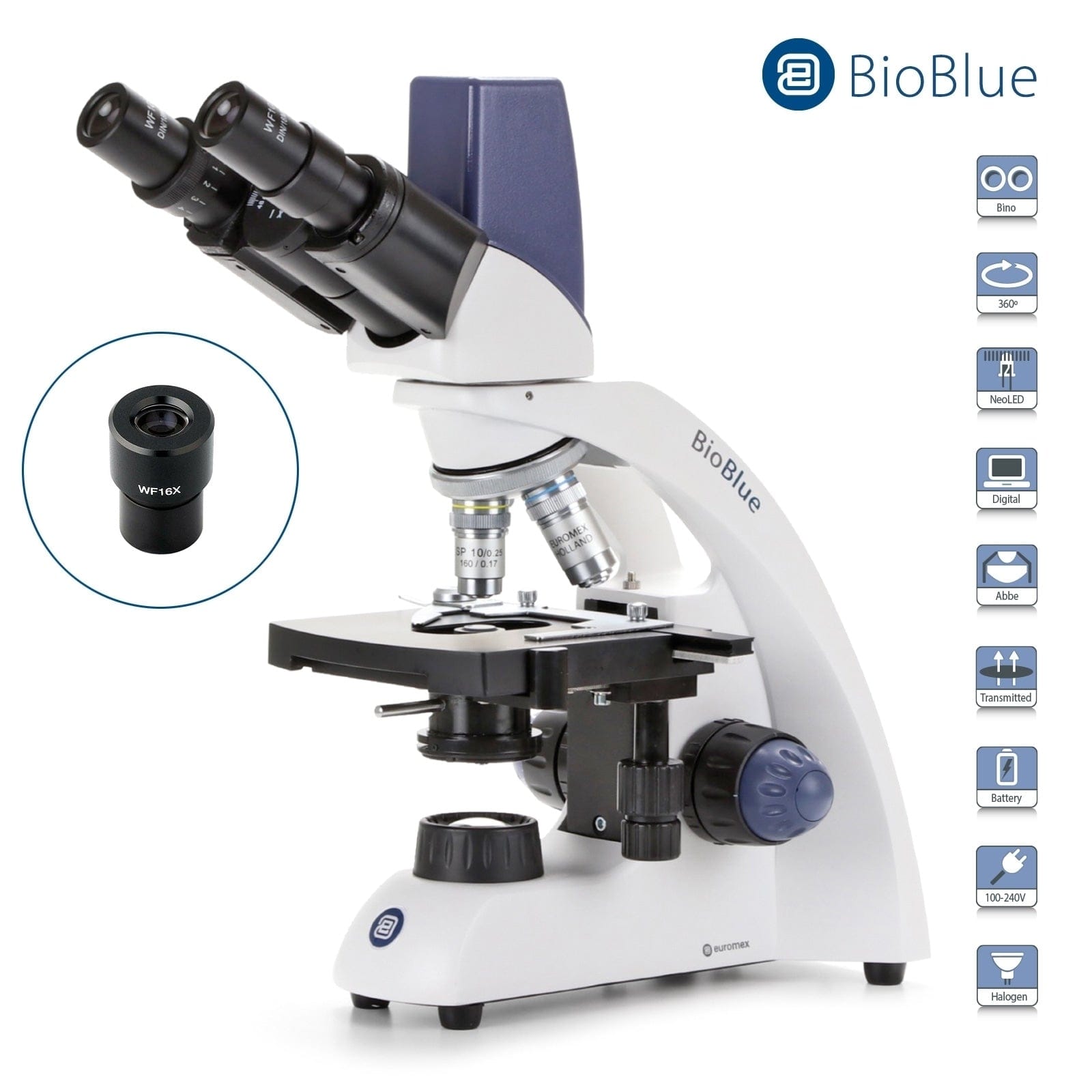 microscopio binocular digital