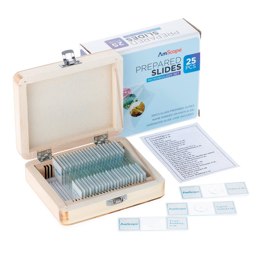 AmScope - Lot de 25 Lames Prepares en Verre pour Microscope, Avec Boite en  Bois, 25 pc Sample Slide Biology Set - PS25W : : Jeux et Jouets