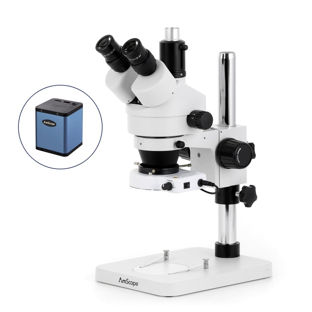 AmScope