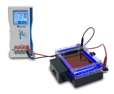 Electrophoresis