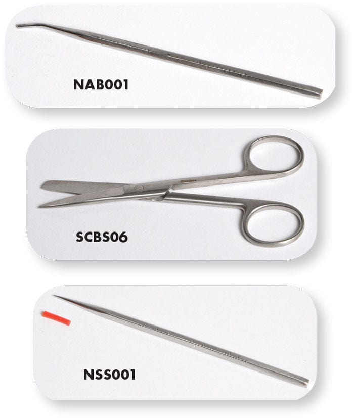 http://amscope.com/cdn/shop/products/Individual-Dissecting-Instruments_700x.jpg?v=1677866967