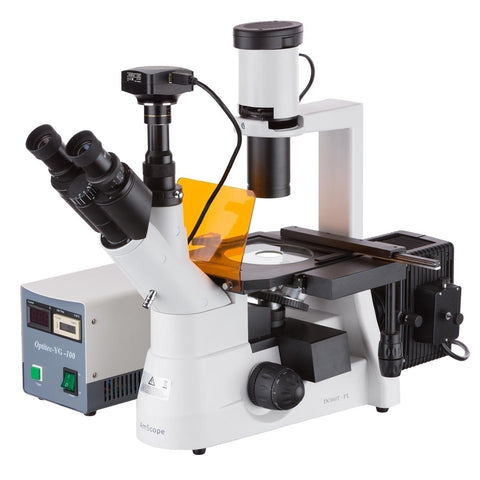 AmScope Epi-fluorescence Compound Microscopes