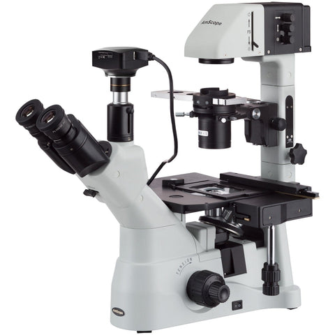 AmScope+ Compound Microscope