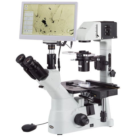 AmScope Blood Analysis Compound Microscopes Promotions
