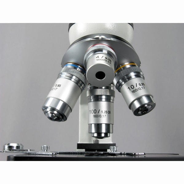 AmScope
