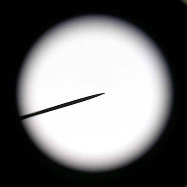 WF10X Microscope Eyepiece with Pointer (23mm) AmScope