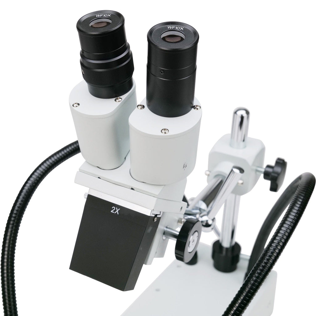 20X - 40X Compact Fixed-Lens Stereo Boom-Arm Microscope with Dual Gooseneck LED Lights