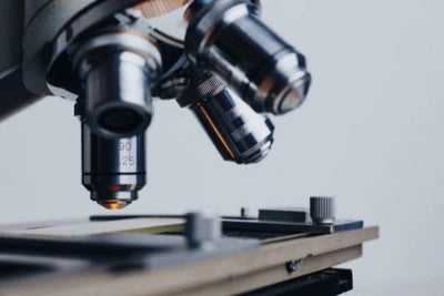 Best Microscopes for Hobbyists