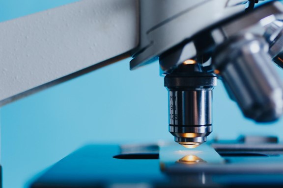 Calculating Your Microscope's Field of View – AmScope