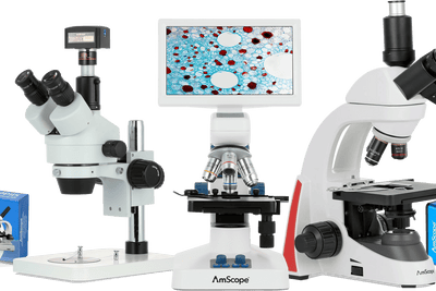 Best Microscopes Under $600