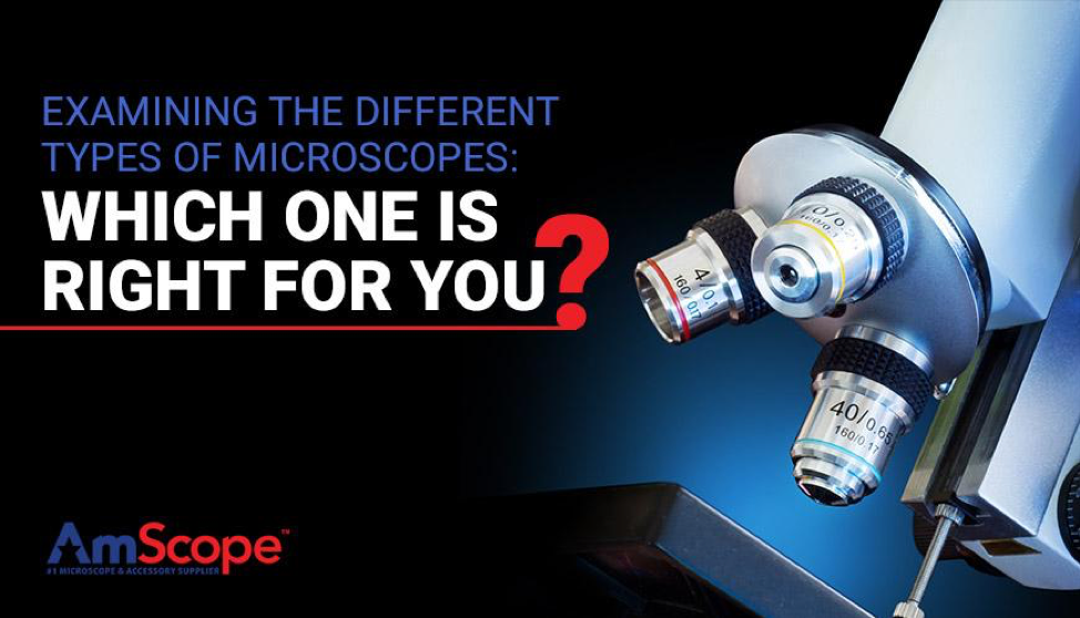 Examining the Different Types of Microscopes: Which One Is Right for Y ...
