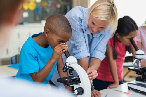 3 Helpful Tips for Teaching Kids How to Use a Microscope – AmScope