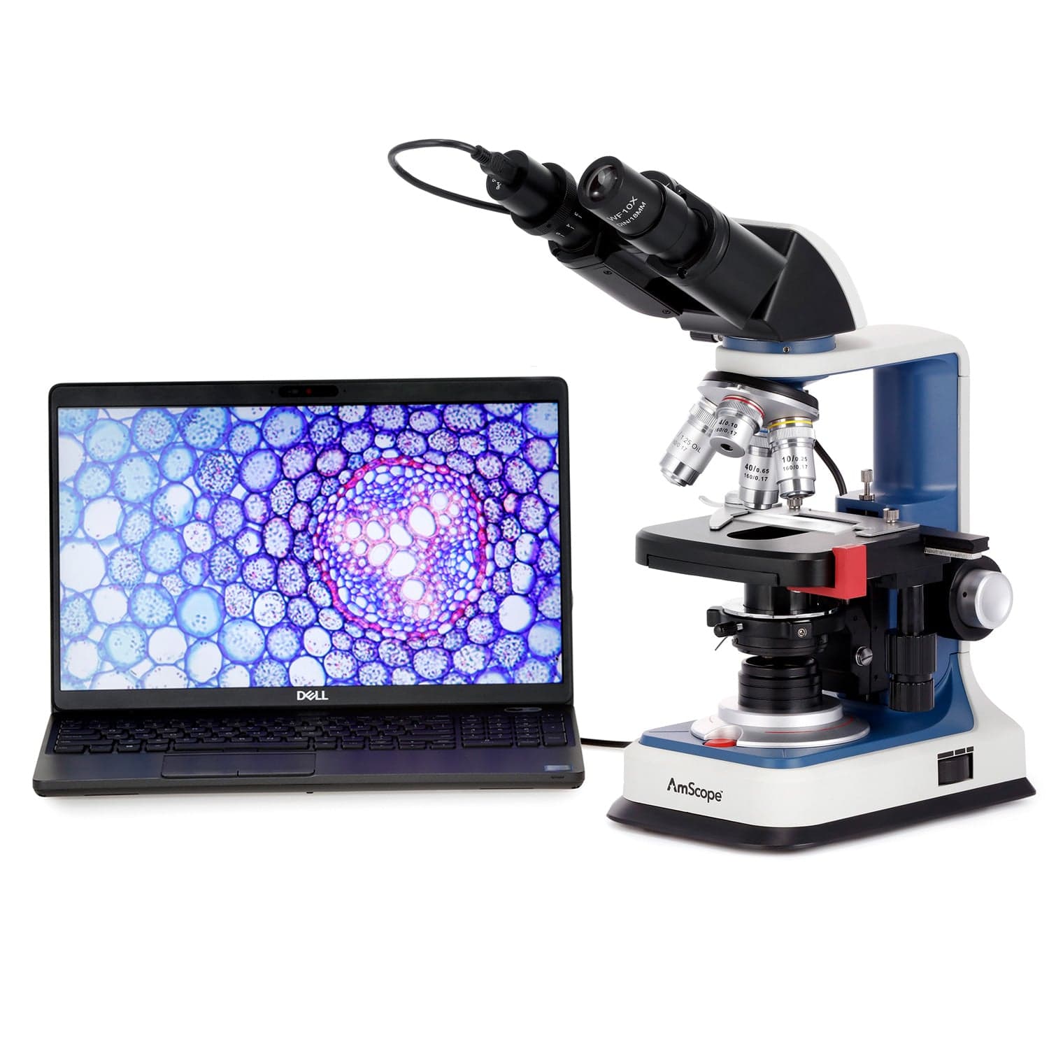 AmScope B120C-R Series USB-C Rechargeable Student Binocular Compound Microscope 40X-2500X Magnification with 3D Two-Layer Mechanical Stage, Achromatic Objectives, & LED illuminator + Optional Camera