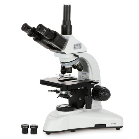 AmScope Outlet 20W Halogen Kohler Illumination Trinocular Biological Compact Base Microscope w/3D Mechanical Stage and Optional Digital Microscope