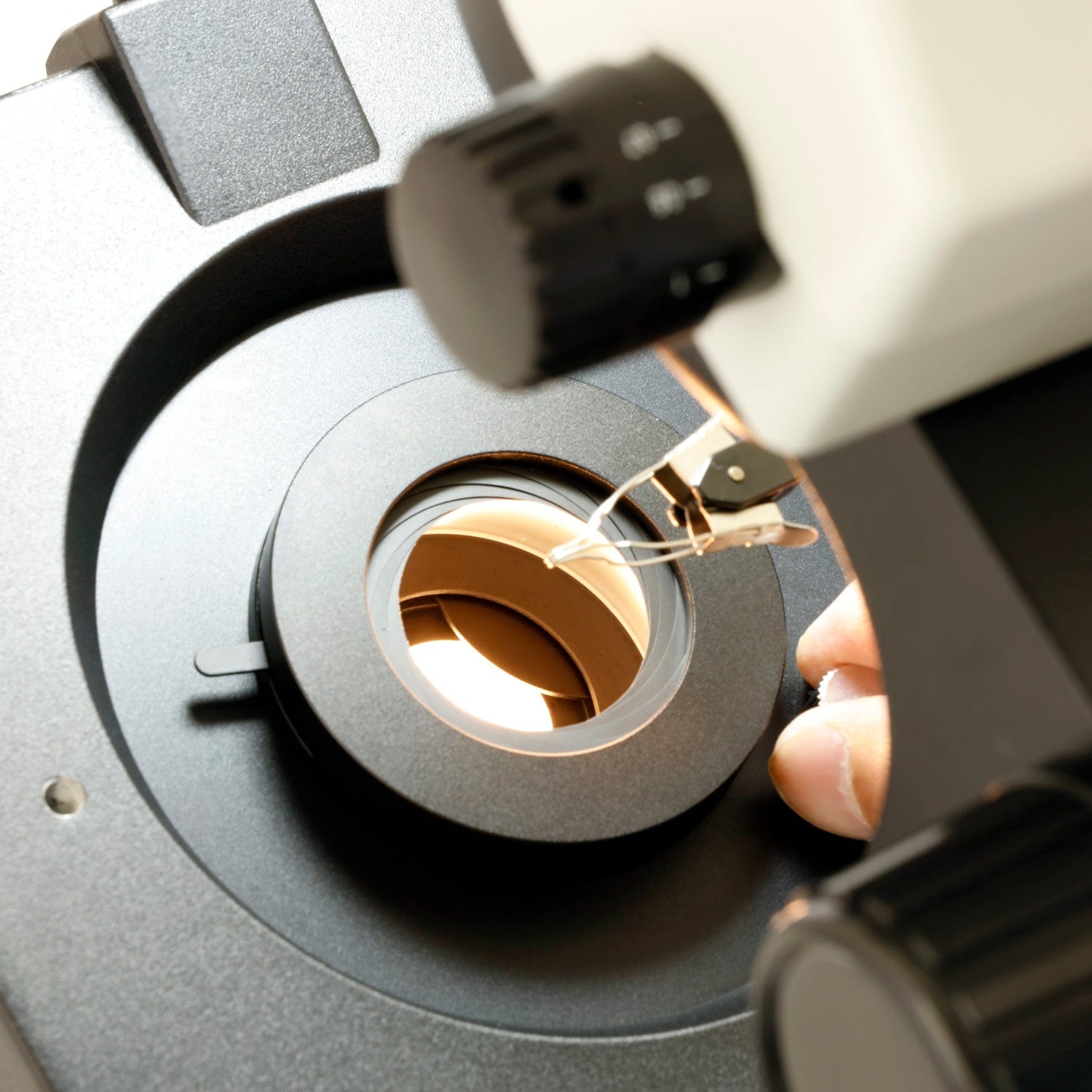 AmScope GM400 Series Advanced Jewel Gem Zoom Trinocular Stereo Microscope 3.5X-90X Magnification on Track Stand