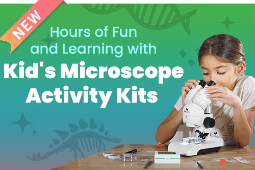 7 Types of Light Microscopes and How To Use Them – AmScope