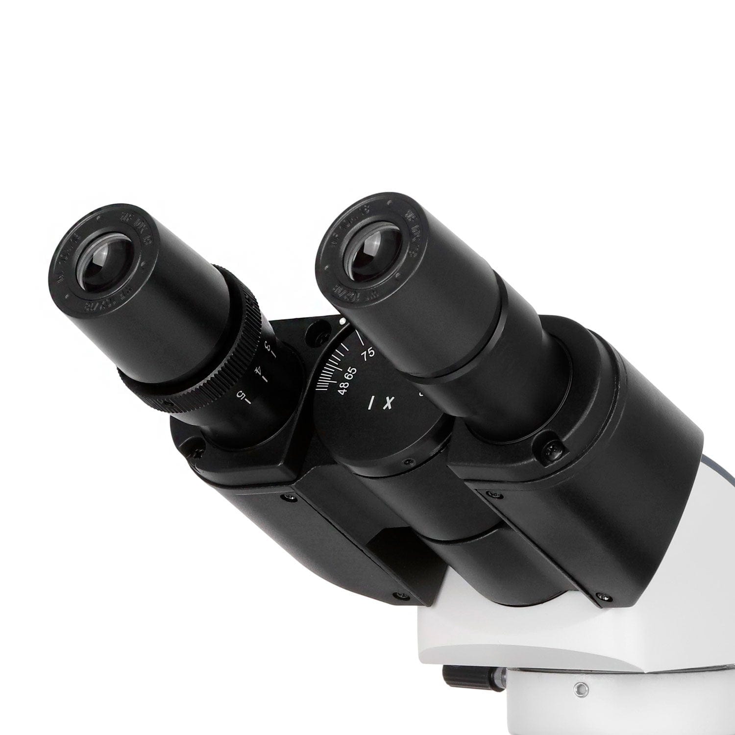 AmScope B270-DMH18070 Binocular Biological Microscope with 1000X Magnification and 1W LED Light Source