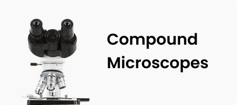 Compound
Microscopes