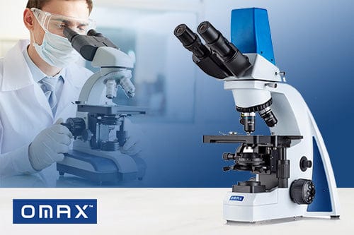 The Basics of Microscope Magnification: Everything You Need to Know ...