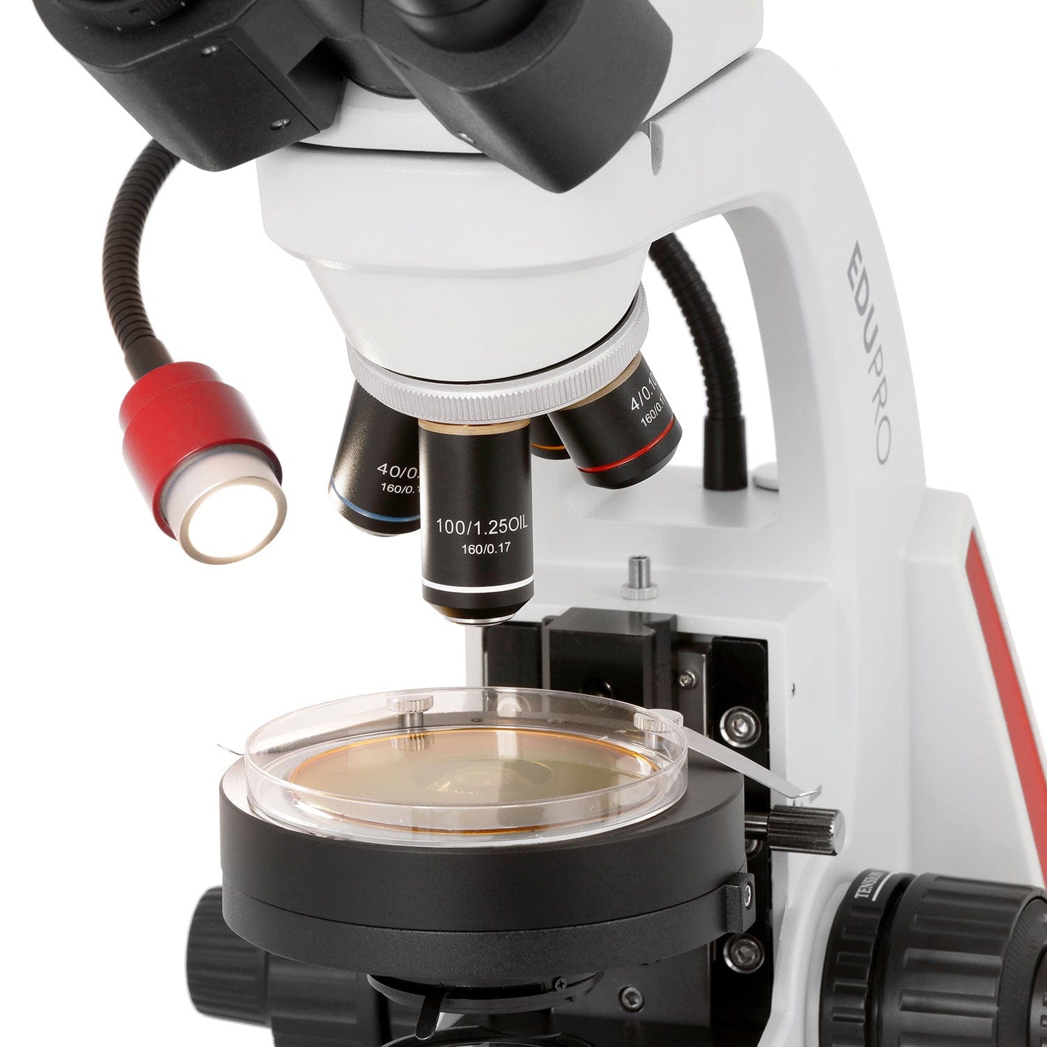 AmScope EDU552B Binocular with 1000X Magnification and 3W LED Light Source