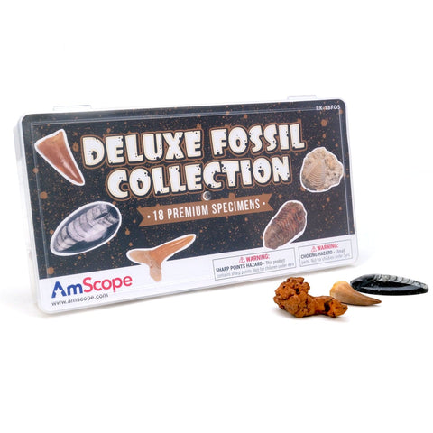 Deluxe Fossil Collection w/18 Unique Specimens and Full Color Identification Card