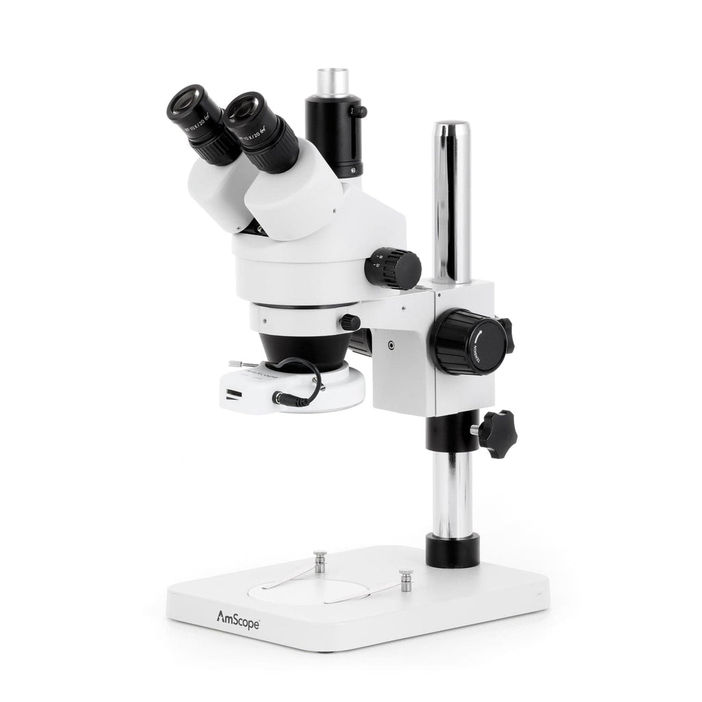 Stereo Microscopes for Sale | AmScope