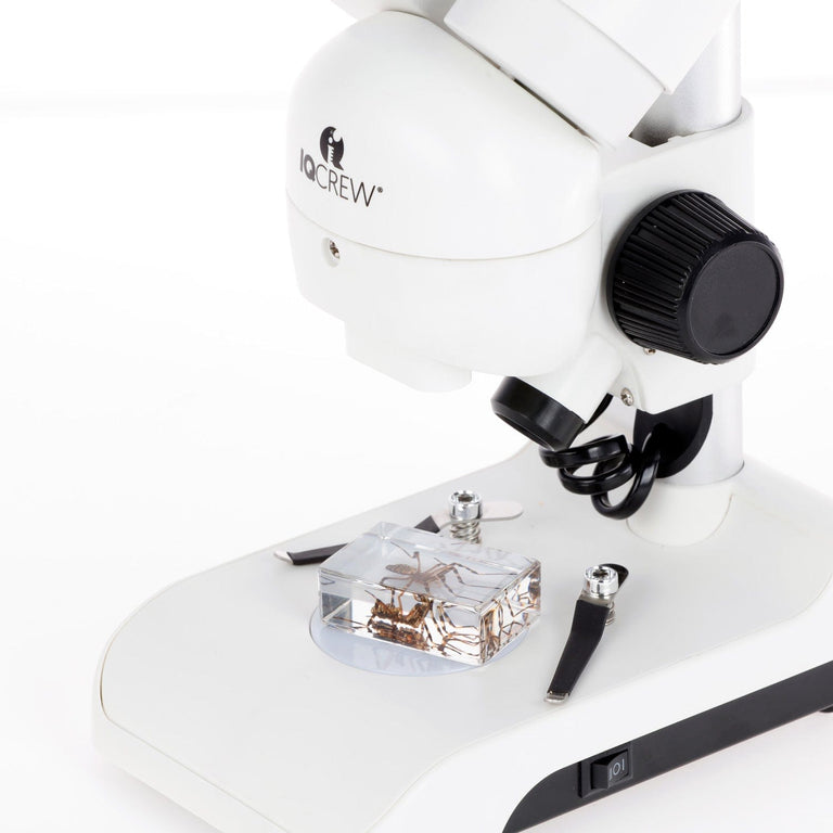 Amscope SE122 Stereo Microscope for Kids Industrial Inspection, PCB & Soldering, Gem & Jewelry