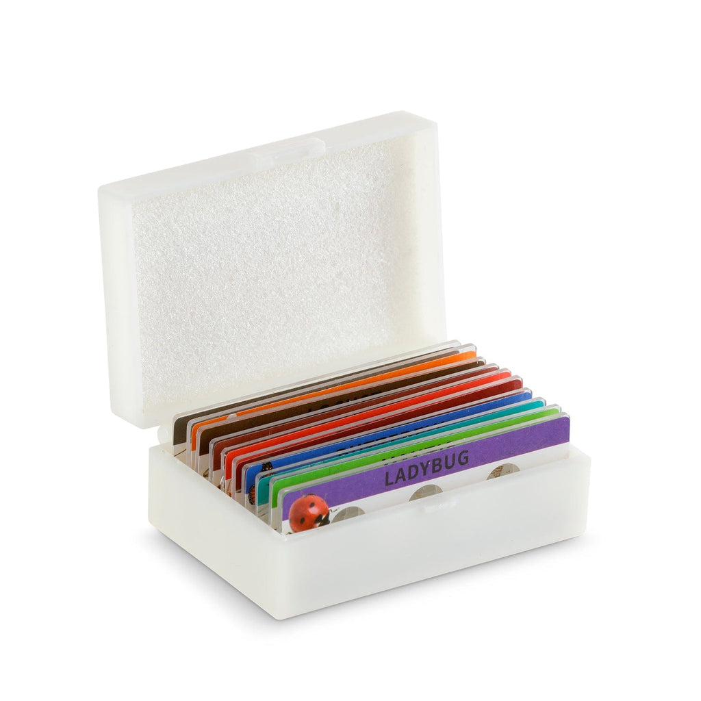 AmScope 10 Plastic Prepared Insect Slides in Plastic Case with Unique