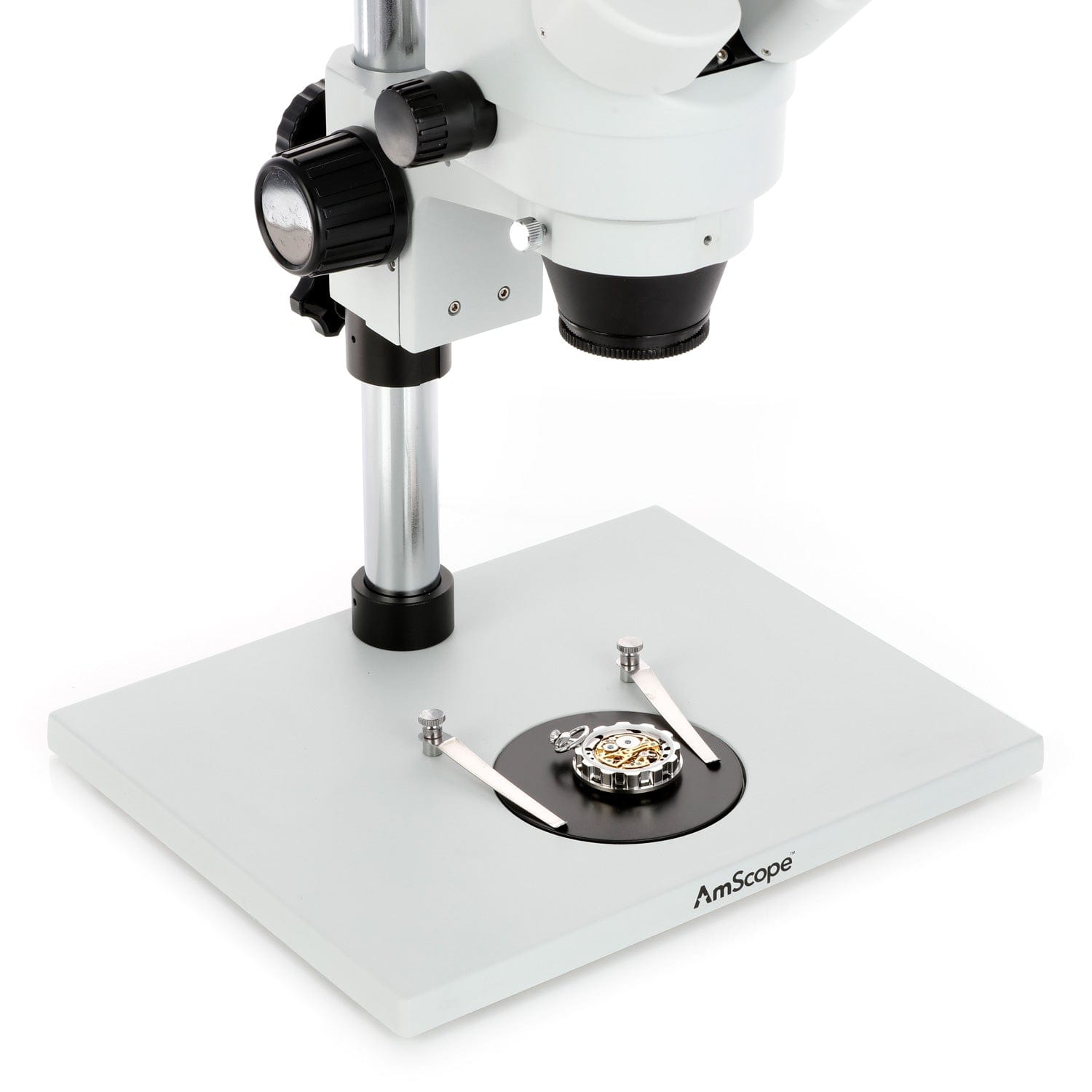 AmScope SM-1 Series Zoom Binocular Stereo Microscope with 150W Halogen Dual Gooseneck Lights on Pillar-stand with Large Base and Optional Digital Camera