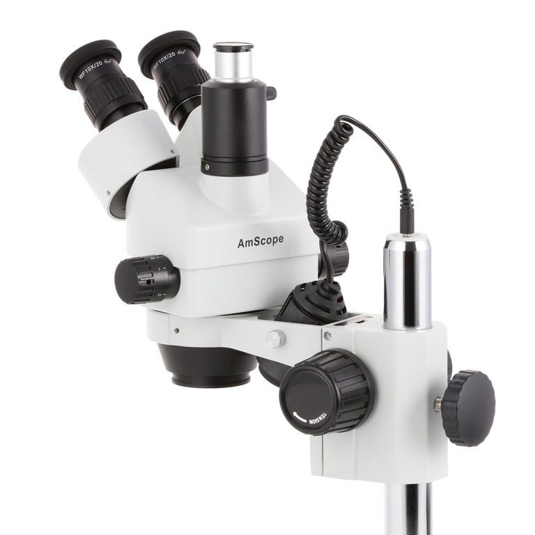 AmScope SM-2 Series Trinocular Stereo Microscope on Pillar Stand with LED Dual Lights and HDMI Optional Digital Camera