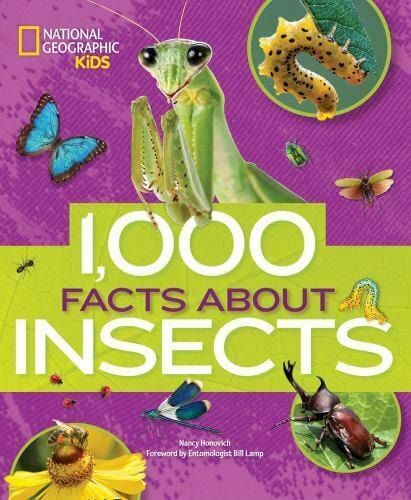 1000 Facts About Insects by National Geographic Kids