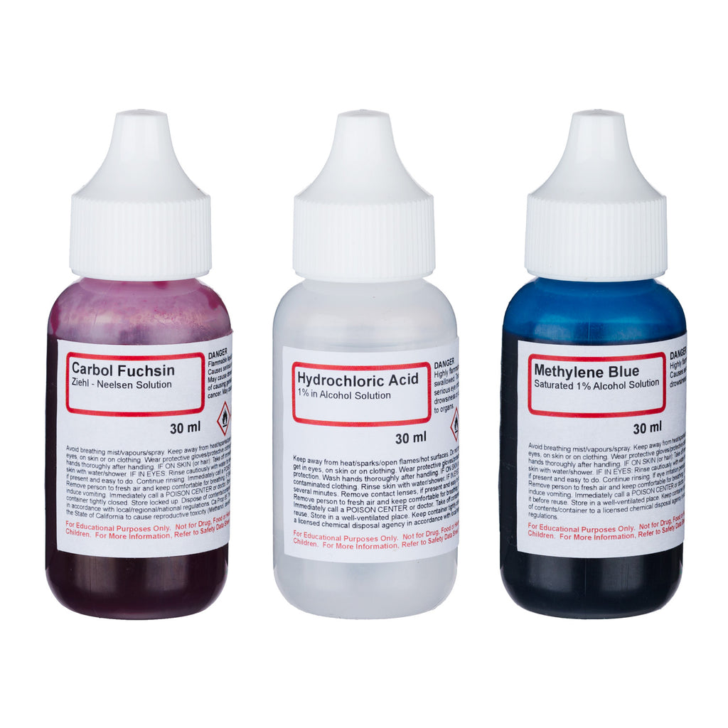 AmScope Acid Fast Stain Kit of Three Chemicals for Preparing Microscop