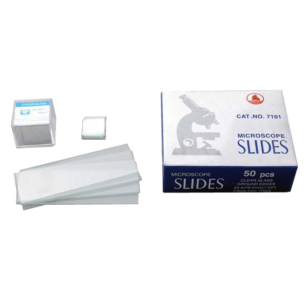 Glass Microscope Slide