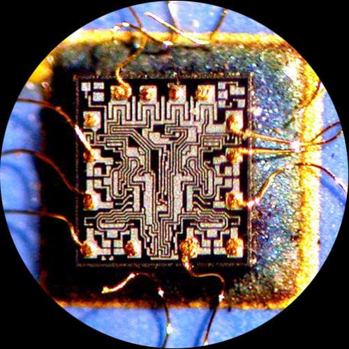AmScope SE400-Z Binocular Stereo Microscope and LED Light Source on a Single Arm Boom Stand