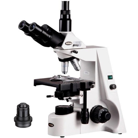 Applications/Coin & Hobby Microscopes – AmScope