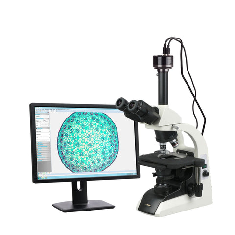 compound microscope-T650-HC2