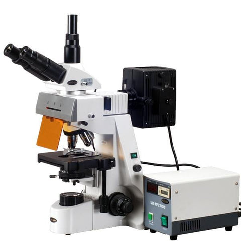30W Infinity Plan Extreme Widefield Trinocular EPI-Fluorescent Microscope w/Two Wave Bands and Optional Digital Camera