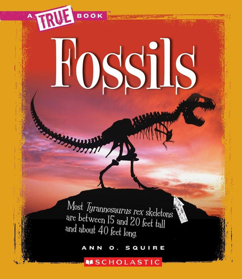 Deluxe 48-Page Full Color Book on Fossils