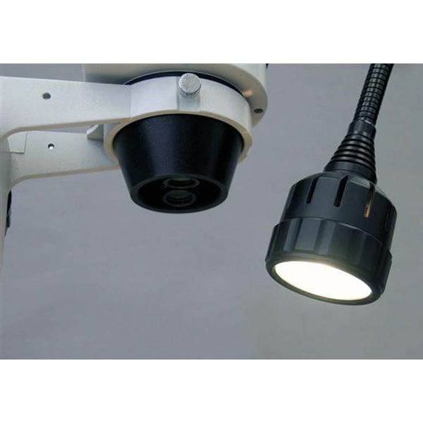 Led 20w Microscope AmScope HL20 other Illuminator Gooseneck with 20W Incandescent Light S