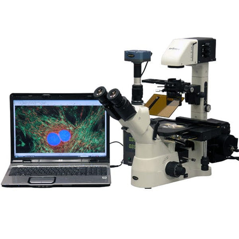 IN480T-FL-MF-microscope