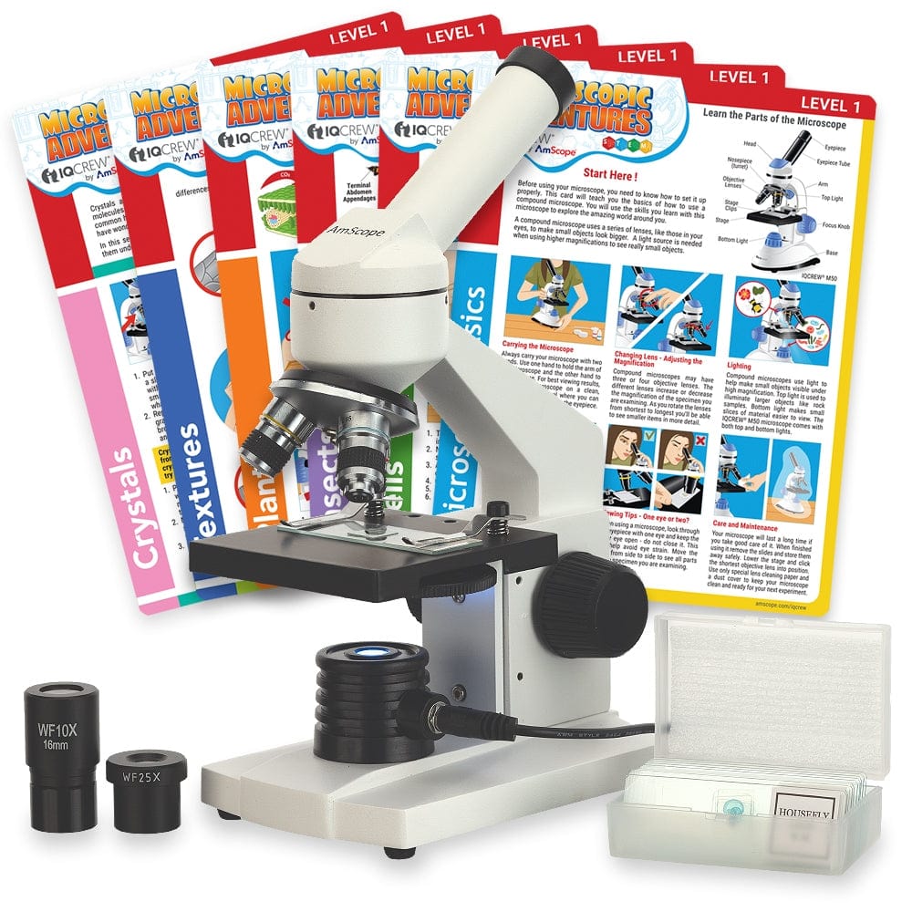 1000x Ruler Microscope 1000x Microscope Diagram
