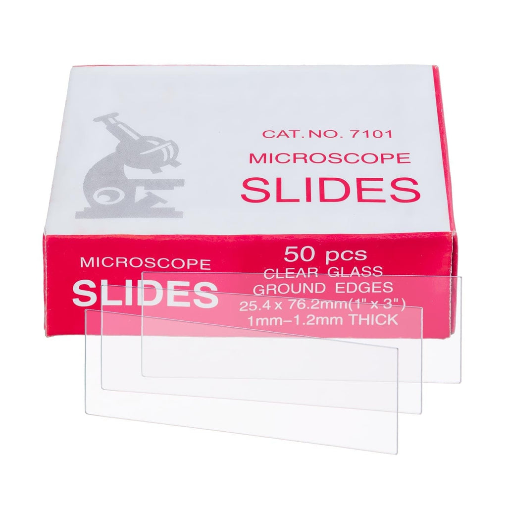 Empty Microscope Slide AmScope 50 Blank Microscope Slides With Ground Edges