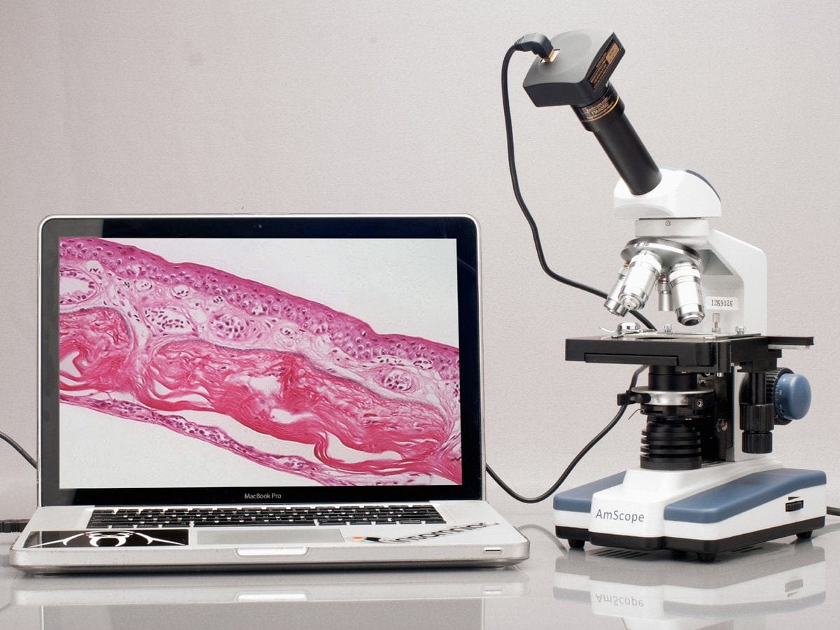 AmScope M620 Series Monocular LED Compound Microscope
